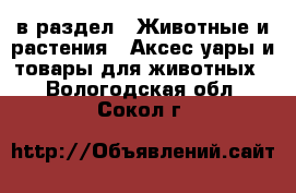  в раздел : Животные и растения » Аксесcуары и товары для животных . Вологодская обл.,Сокол г.